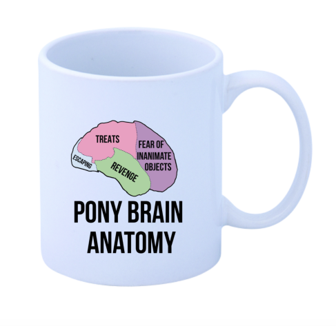 Pony Brain Anatomy Mug - SALE